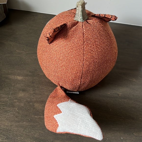PUMPKIN FOX - Picture 4 of 7